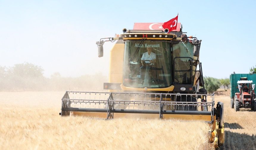 Şahinbey'de çiftçiler buğday hasadından memnun