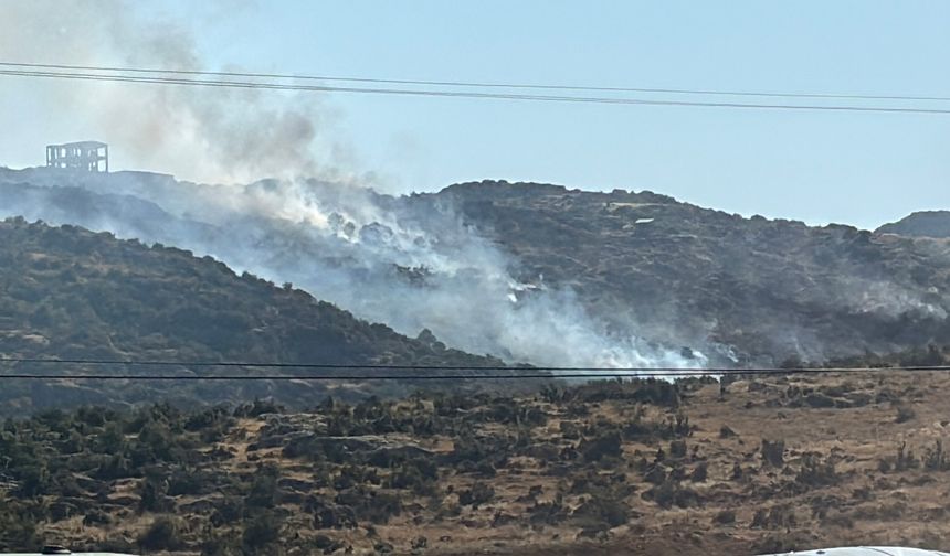 Gaziantep'te makilik alanda çıkan yangın söndürüldü