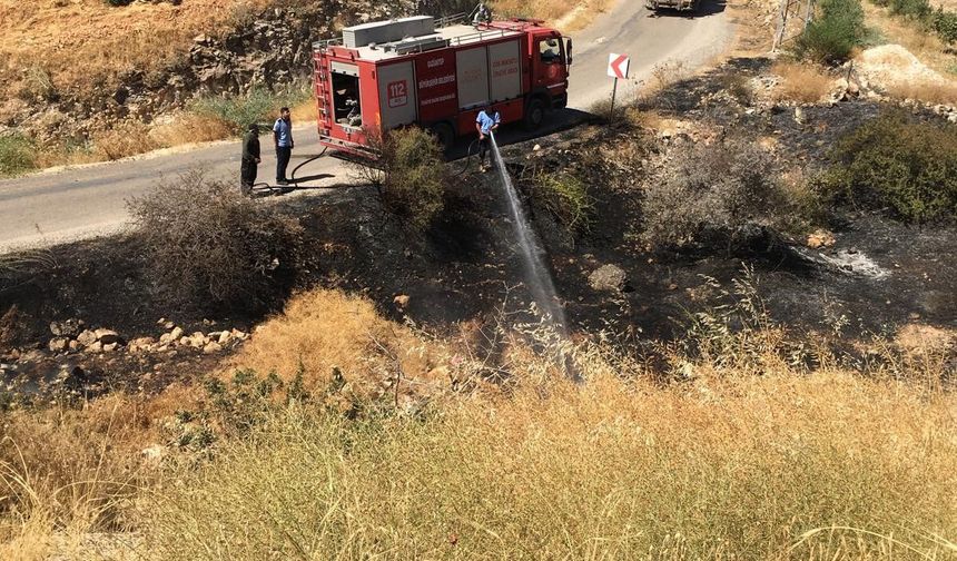 Fıstık tarlasındaki yangına müdahale ederken hayatını kaybetti