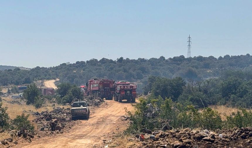 Gaziantep'teki orman yangını kontrol altına alındı