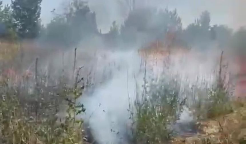 Otluk alanda çıkan yangın kuş yuvalarına zarar verdi