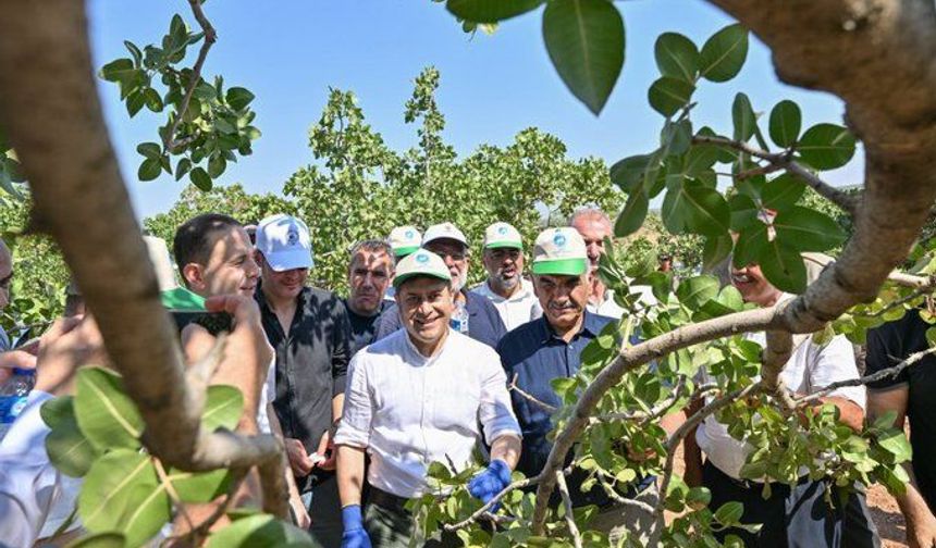 Gaziantep'te Fıstık Hasadı Öncesi Güvenlik Seferberliği