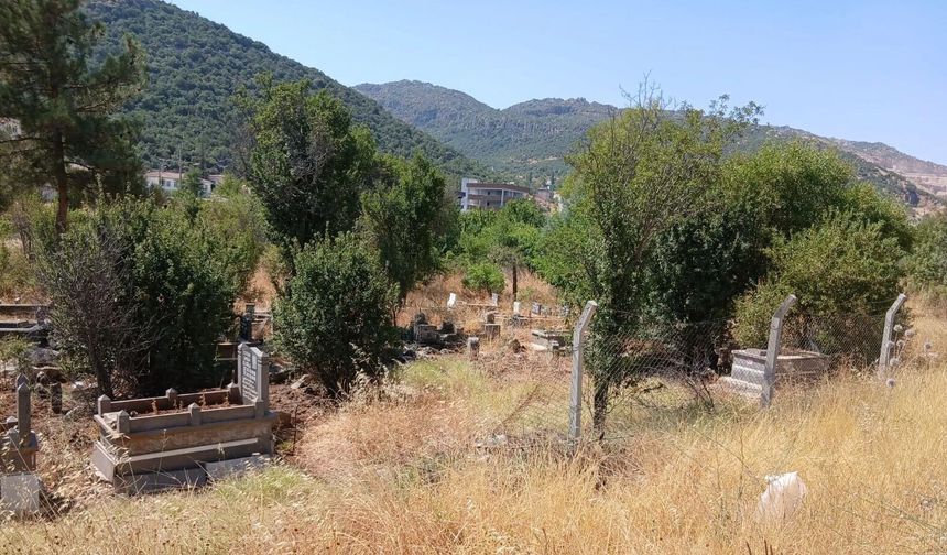 Acar Obalılar Mezarlık Yolunu Unuttu: Yılan ve Akrep Endişesi