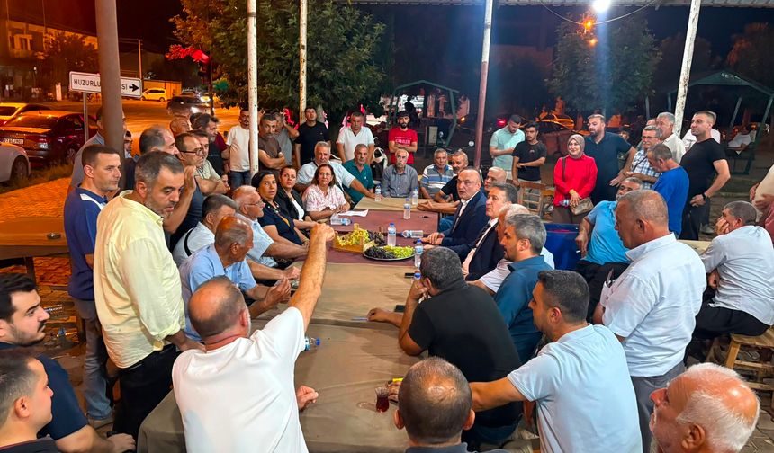 Dalında Üzüm, Hesapta Zarar