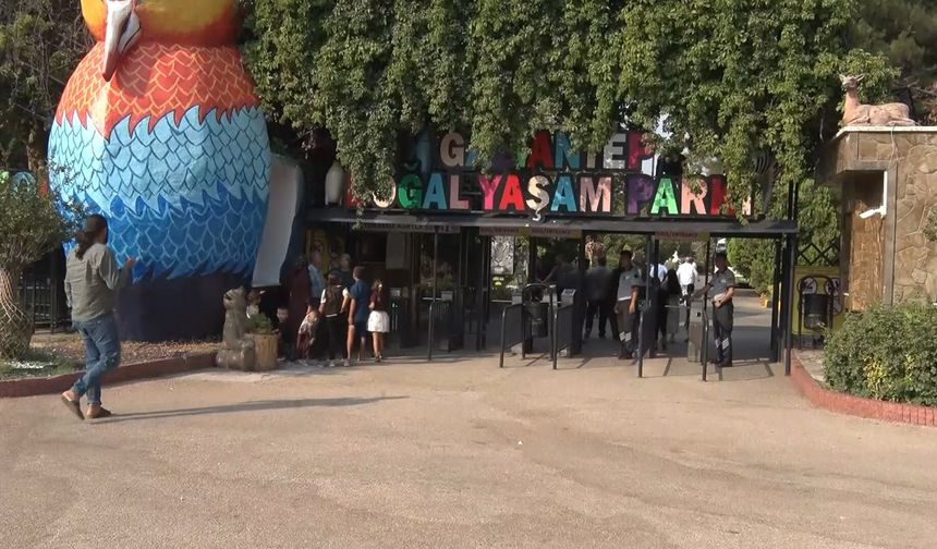 Gaziantep'te ‘Yırtıcı Adası' heyecanı