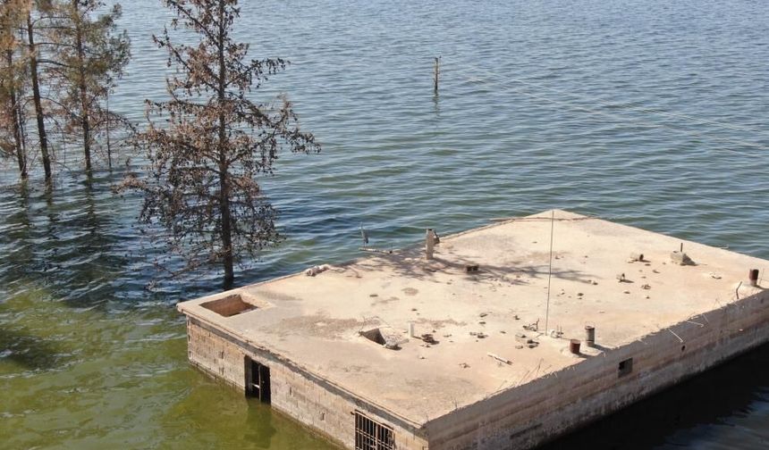 Baraj sularına gömülen köy, leyleklerin yuvası ve balıkçıların uğrak noktası oldu