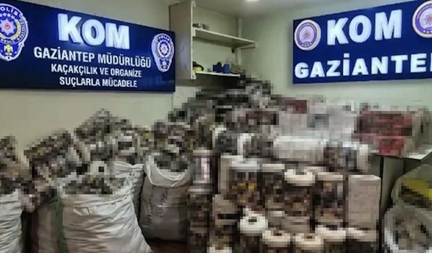 Gaziantep’te 14 bin paket kaçak sigara ele geçirildi