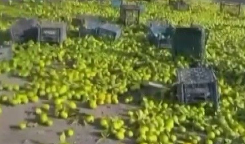 Gaziantep'te mandalina yüklü kamyon devrildi