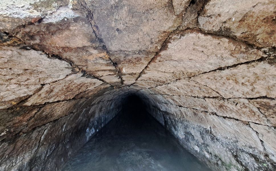 Türkiye'de Bir Örneği Daha Yok