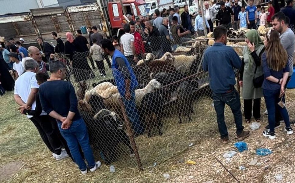 Arefe günü Gaziantep'teki kurban pazarlarında yoğunluk had safhaya çıktı