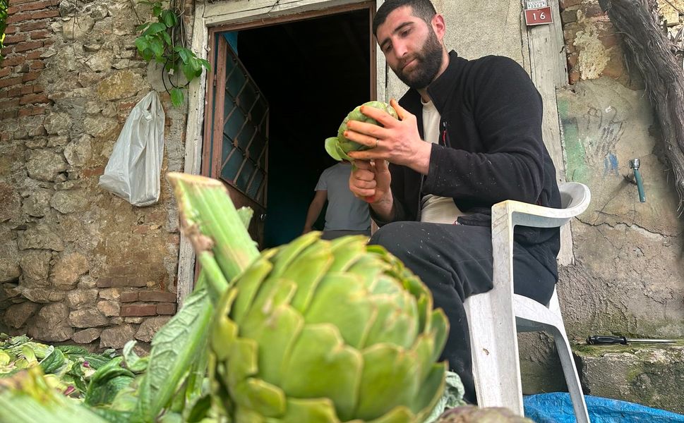 Enginar soyarak ayda 240 bin lira kazanıyor
