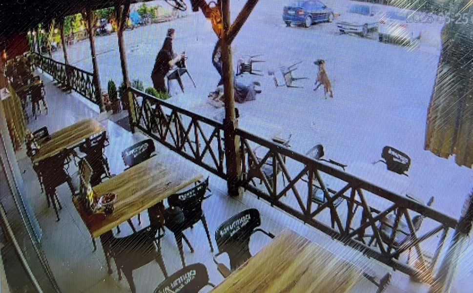 Tekmelere aldırmayan köpek kadının kolunu kopardı