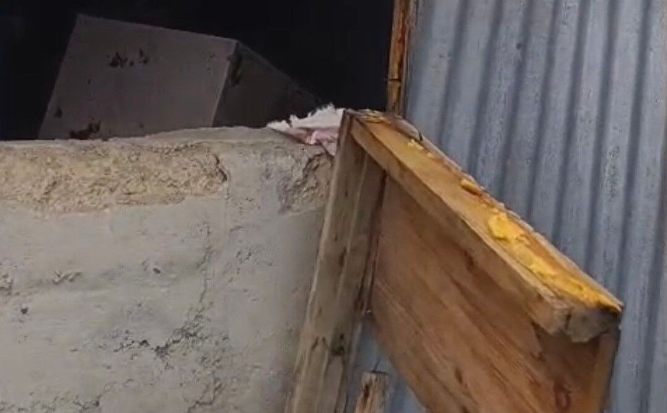 Bir günde 20 eve giren ayı yayla sakinlerini canından bezdirdi