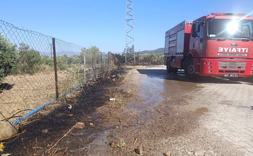 Gaziantep'te zeytinlik alanda yangın