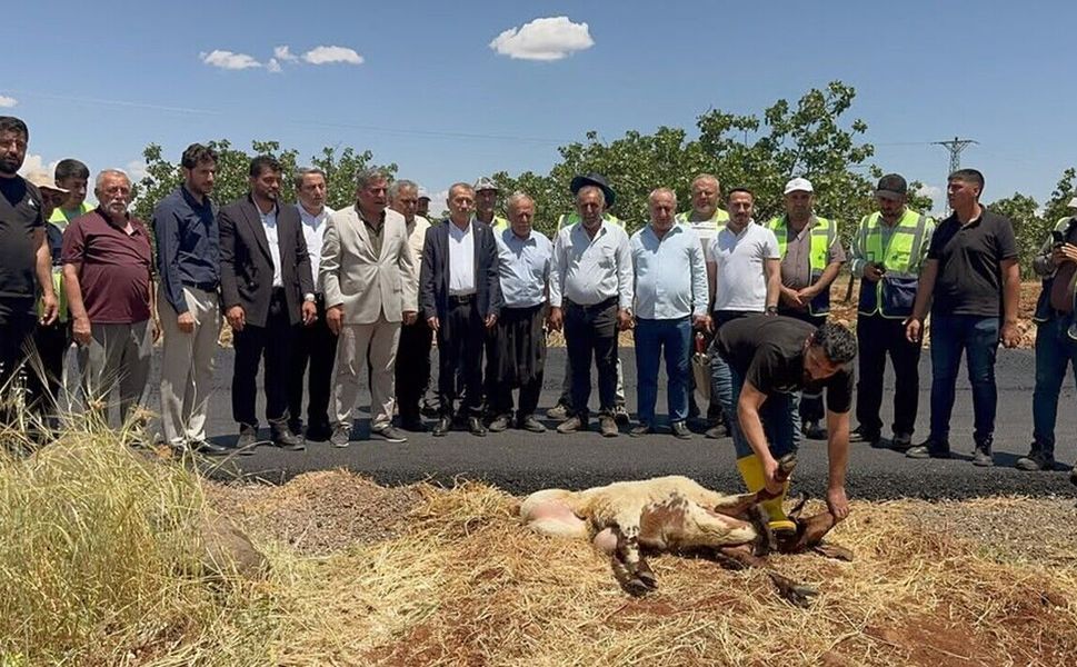 Yoğun yağış döneminde tahrip olan yollar asfaltlandı