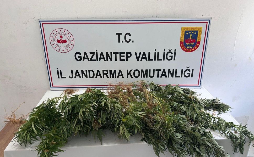 Gaziantep jandarmadan yasaklı madde operasyonu