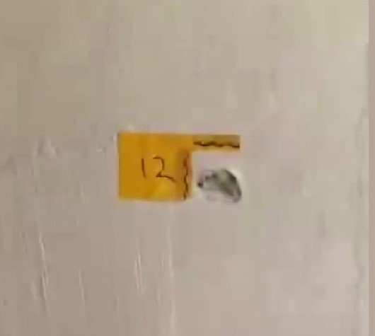 Polis Kılığında Eve Girip Anne ve Oğlunu Vurdular