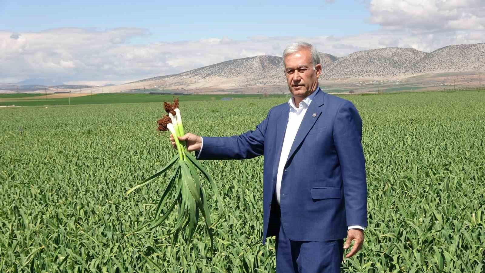 Gaziantep’te “Beyaz Altın” Sevinci