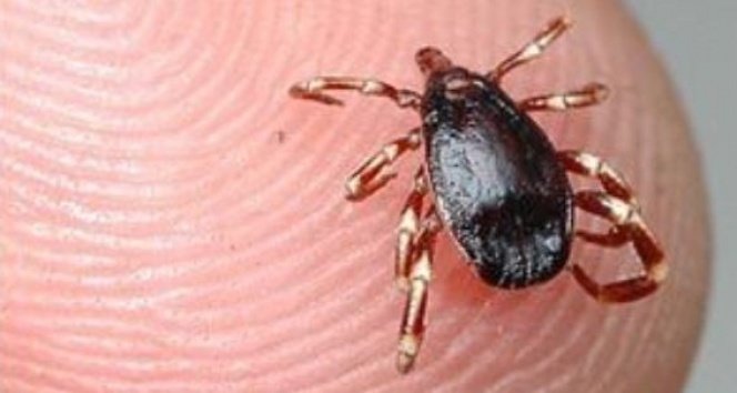 Kene kabusu geri döndü, 21 yaşındaki genç hayatını kaybetti