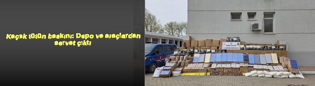 Kaçak tütün baskını: Depo ve araçlardan servet çıktı