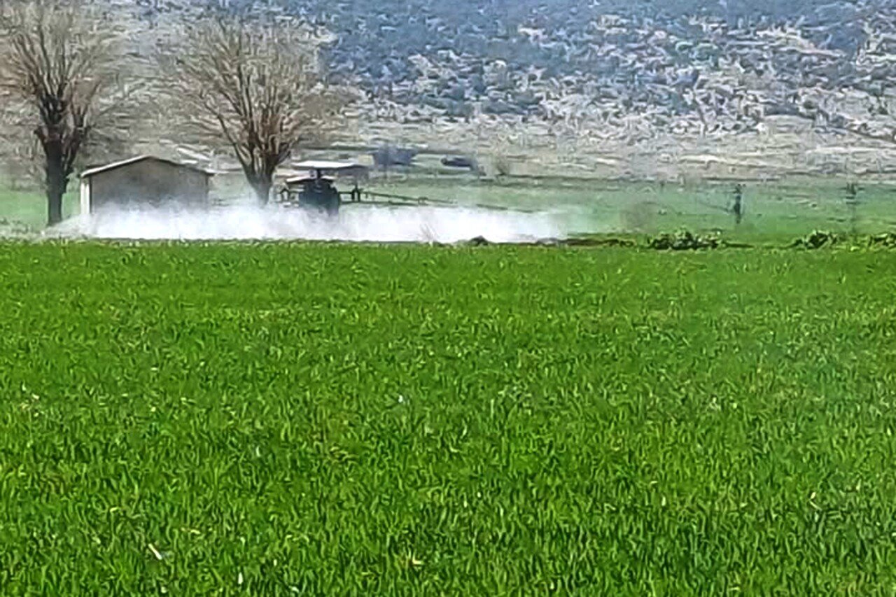 Verim Kaybı Uyarısı: Sarı Pas İçin Erken Müdahale Çağrısı