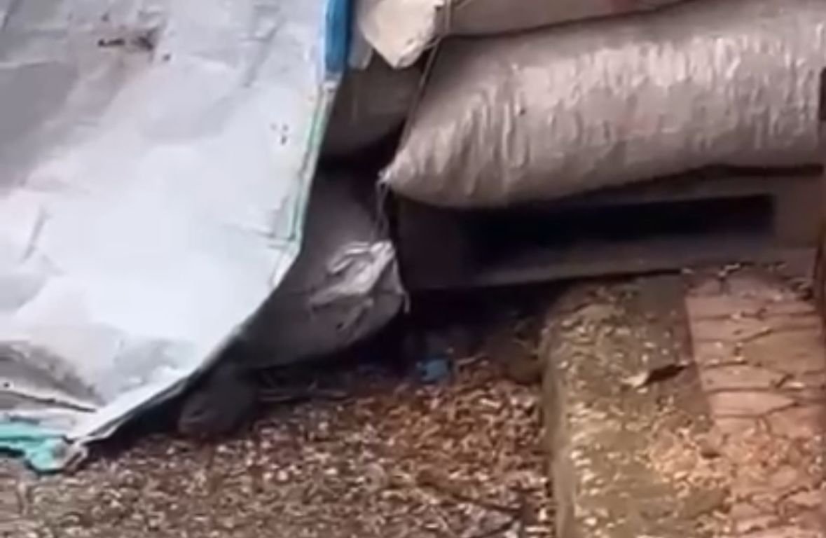 GATEM’de Hijyen Skandalı: Kuruyemiş Çuvalları Arasında Fare Cirit Atıyor