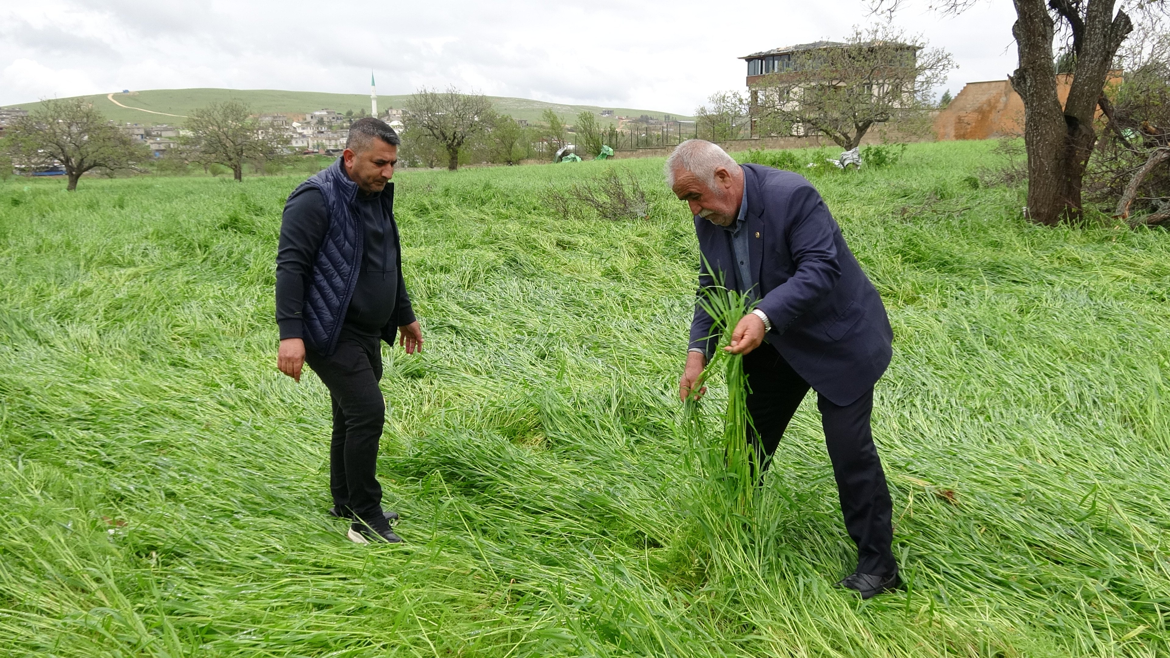 Hububatı ‘süper hücre' vurdu