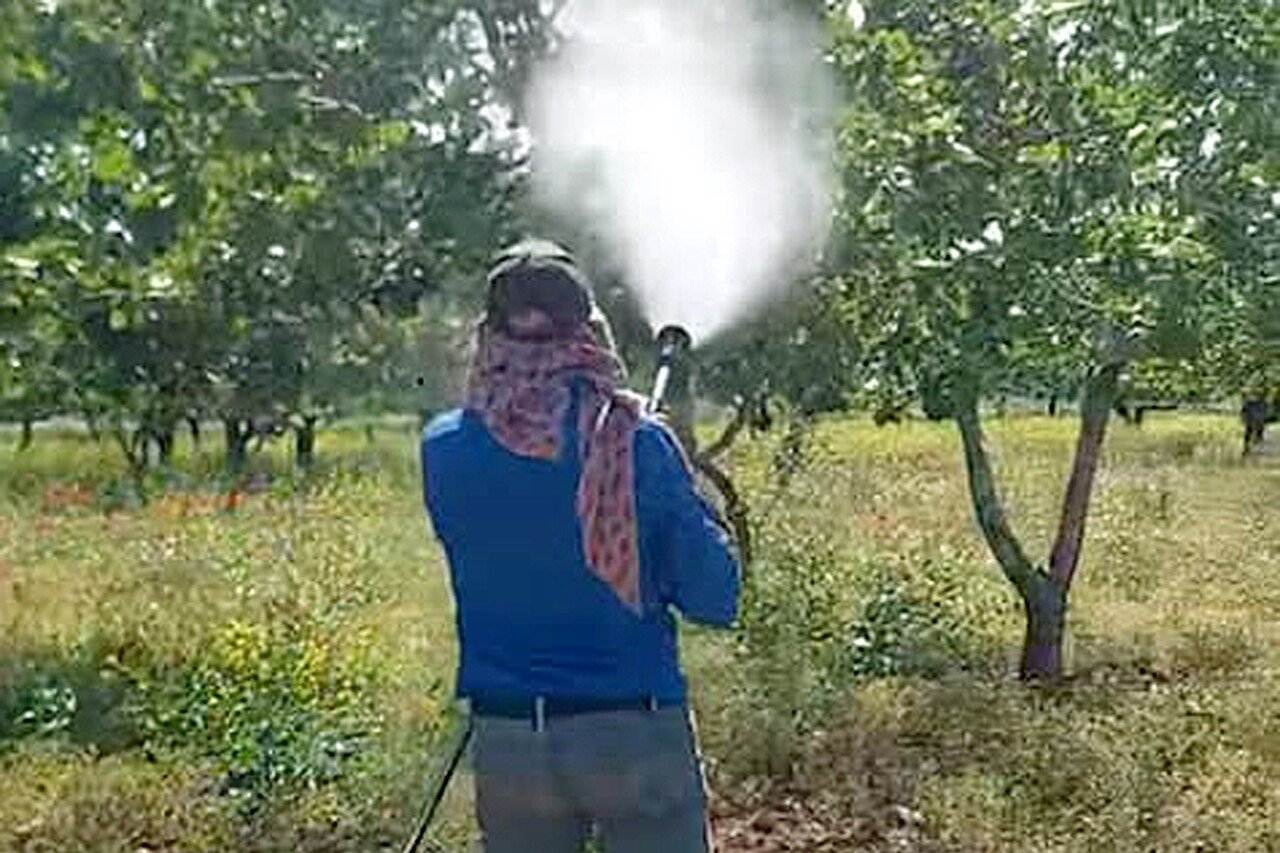 Araban'da Antepfıstığı üreticileri hastalıklar ve zararlılarla mücadele başlattı