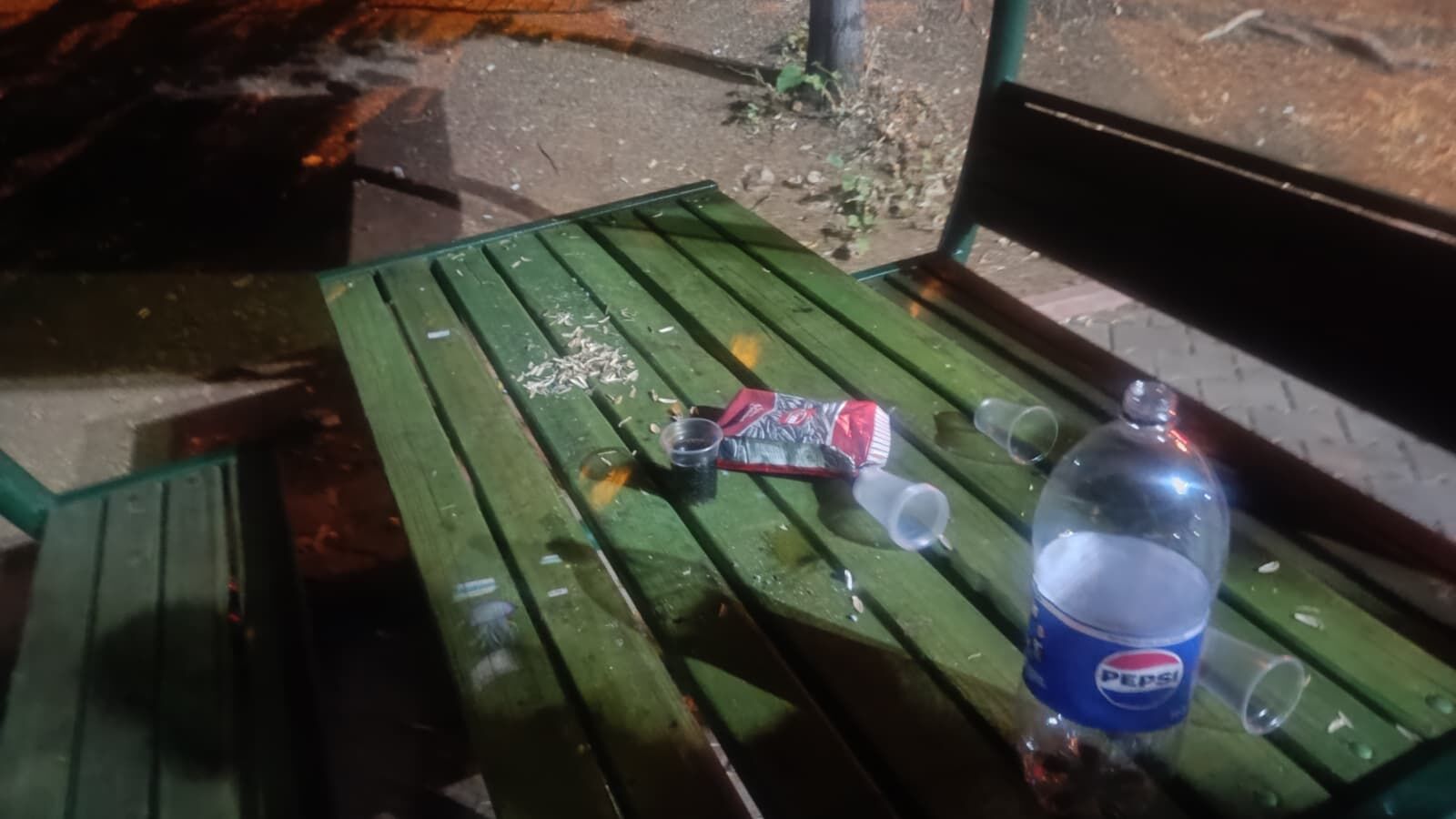 Çevre Temizliği (1)